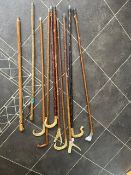 Collection of Ten Wooden Walking Sticks, assorted designs, Shepherd's crook, badger top, horn top,