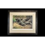 Adrian Rigby: Signed Print of Badgers In Nest, lovely print of badgers in a ground surface nest,