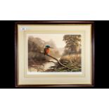 Adrian Rigby: Pencil Signed Print of a Kingfisher, well executed picture of a kingfisher on branch,