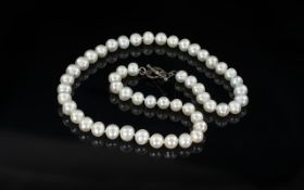 String of Large Fresh Water Pearls with silver clasp, 17 inches (app.42.5cms) long