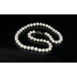 String of Large Fresh Water Pearls with silver clasp, 17 inches (app.42.5cms) long