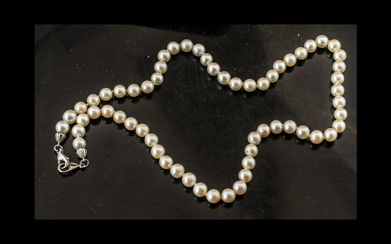 Single Strand Freshwater Pearls with silver clasp.