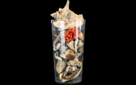 Large Modern Glass Vase Full of large sea shells, including conch shells, coral, tigress, etc.