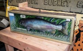 Stuffed Fish in Glazed Case with label a