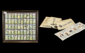 Cigarette Cards, to Include Wills Radio