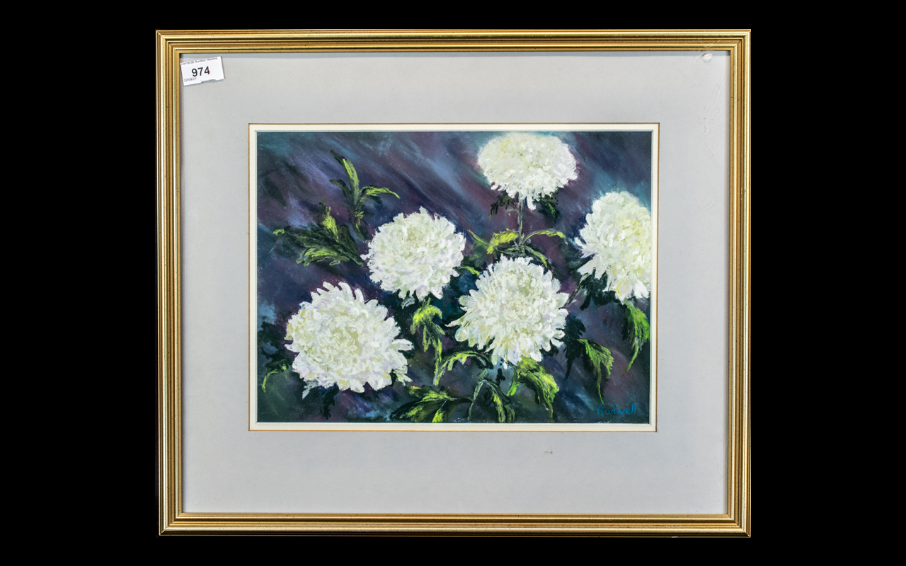 Watercolour of White Chrysanthemums, fra