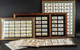 A Large Collection of Framed Cigarette Cards, comprising: 50 x Horses, 25 x Golfers,