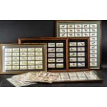 A Large Collection of Framed Cigarette Cards, comprising: 50 x Horses, 25 x Golfers,