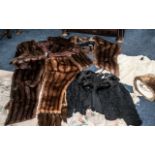 Collection of Fur Capes and Jackets,