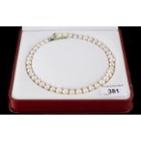 A Fine Set of Cultured Tian Pearls of White Lustrous Colour. In Original Leather Fitted Box. 16