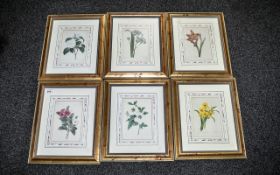 Collection of Six Limited Edition Botanical Prints from the National History Museum edition