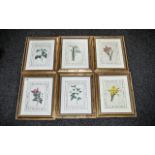 Collection of Six Limited Edition Botanical Prints from the National History Museum edition