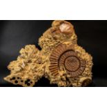 John Grimshaw, artist from Bentham, Burl Wood Fossil Carving,