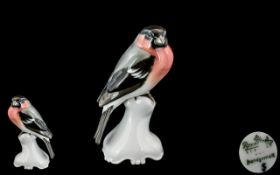 Rosenthal Superb Hand Painted Porcelain Bird Figure ' Bullfinch ' on a Perch. Designer T. Karner.