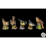 Royal Worcester - Excellent Collection of Hand Painted Bird Figures ( 5 ) In Total.