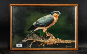 Oil Painting on Board of a Falcon, signed H.J.