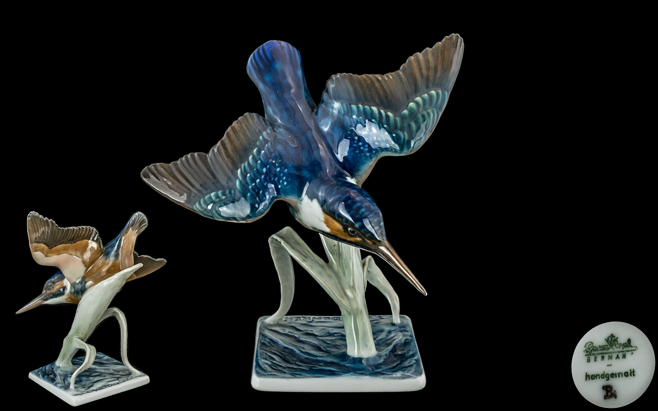 Rosenthal Superb Hand Painted Porcelain Bird Figure ' Kingfisher ' Diving. Designer F. Heidenreich.