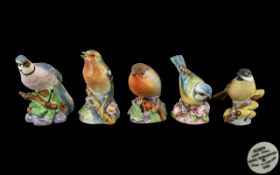 Royal Worcester - Superior Quality Hand Painted Porcelain Bird Figures ( 5 ) In Total.