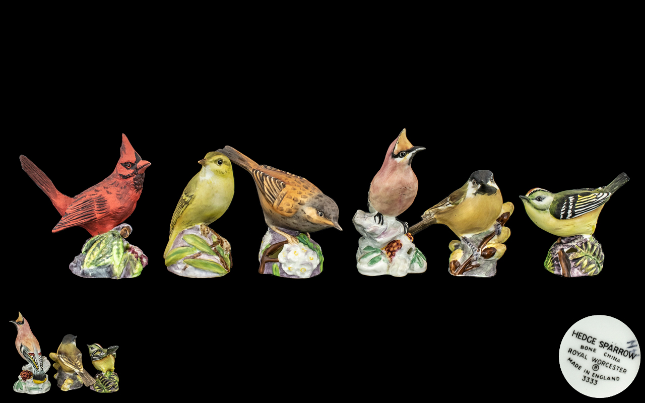 Royal Worcester - Superior Quality Hand Painted Porcelain Bird Figures ( 6 ) In Total.