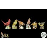 Royal Worcester - Superior Quality Hand Painted Porcelain Bird Figures ( 6 ) In Total.