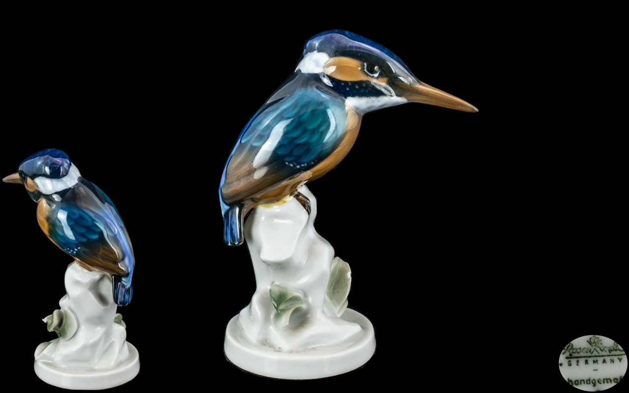 Rosenthal Superb Hand Painted Porcelain Bird Figure ' Kingfisher ' Designer Eisvogel Fischer. c.