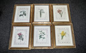 Collection of Six Limited Edition Botani