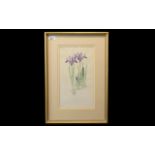 Mary Bates Botanical Watercolour of Iris Reticulata, framed and mounted behind glass,