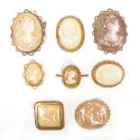 Eight celluloid cameo brooches in gilt metal mounts.