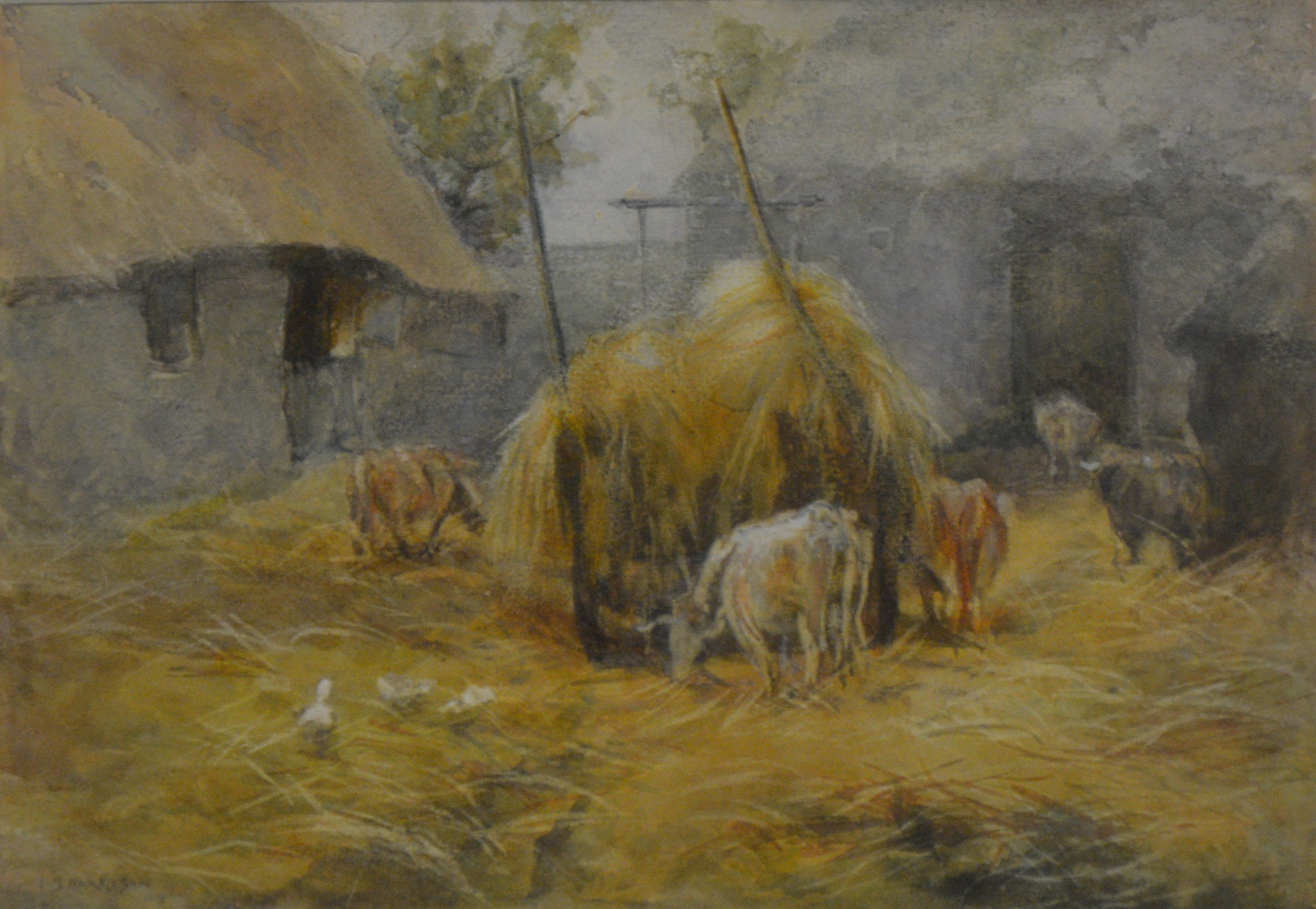Joseph S Harrison - Cattle feeding