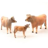 A Beswick Jersey Bull "Ch. Dunsley Coy Boy", Cow "Ch. Newton Tickle", and Calf models.