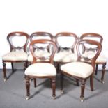 Six Victorian mahogany balloon back chairs.