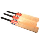 Cricket interest: three signed cricket bats, Australia 1993 Touring Squad, New Zealand 1994 .