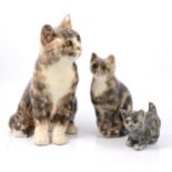 Collection of Winstanley cats,