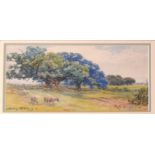 Henry Bailey - sheep grazing; and another Victorian watercolour.