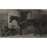 Victorian monochrome engraving, horse by a stable,