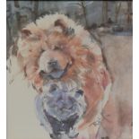 Collection of pictures and prints all relating to Chow Chows.