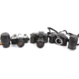 SLR film cameras