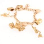 9 carat gold charm bracelet and charms.