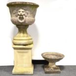 Cast concrete pedestal garden urn on a plinth and a small birdbath