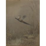 Roland Green, Pheasant in flight