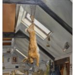 Geoffrey Beasley, Hanging Hare In Studio,