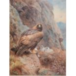 After Archibald Thorburn, The Eagle's Eyrie,