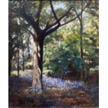 Muriel White, Spring Woodland; and Terry Whittaker, Baddesley Clinton