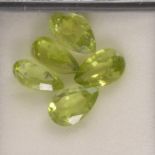 Gem Collector - Six loose, faceted peridots.
