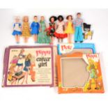 Pippa dolls by Palitoy, a collection to include eight dolls etc