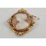 An oval carved shell cameo brooch.