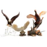 Extensive collection of bird and animal models.