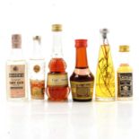 A collection of Whisky and other miniatures.