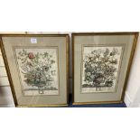H. Fletcher, pair of coloured engravings, 'February' and 'October', 41 x 29.5cm