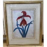 Susanna Hallon, watercolour on vellum, Amaryllis Hippeastrum - Barbados Lily, signed, 28 x 22cm